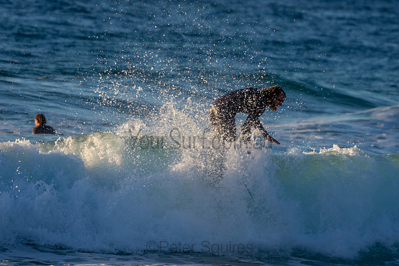 Whale Beach 2/7/20