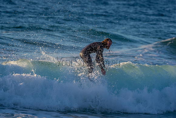 Whale Beach 2/7/20