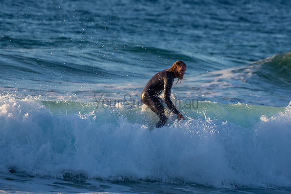 Whale Beach 2/7/20