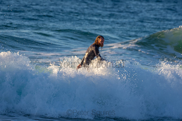 Whale Beach 2/7/20