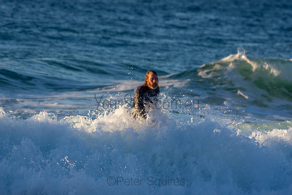 Whale Beach 2/7/20