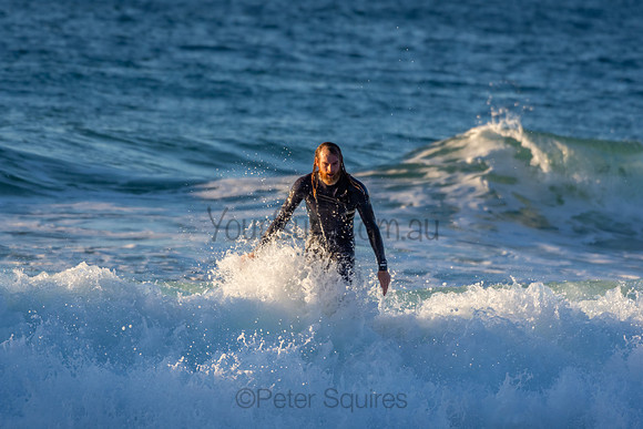 Whale Beach 2/7/20