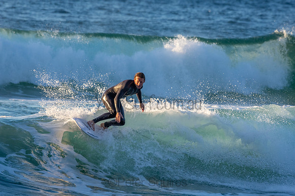 Whale Beach 2/7/20
