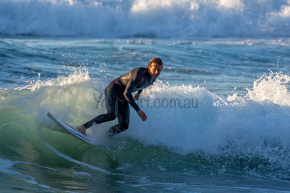 Whale Beach 2/7/20