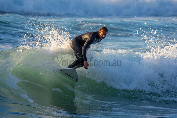 Whale Beach 2/7/20