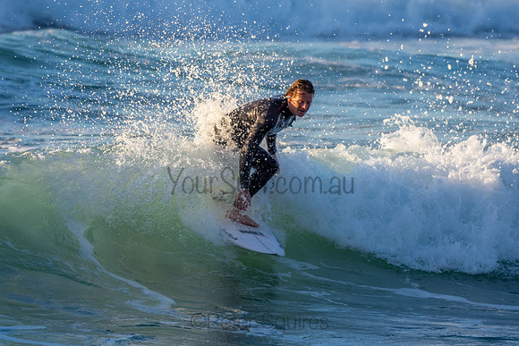Whale Beach 2/7/20