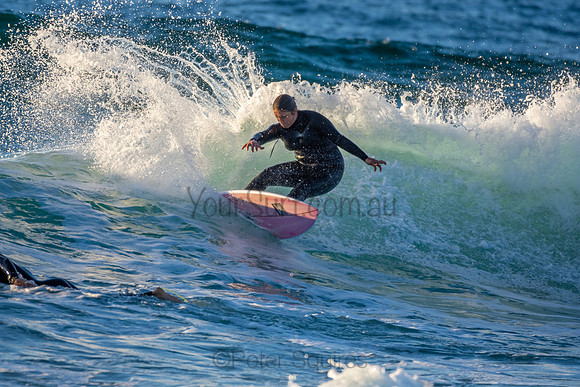 Whale Beach 2/7/20