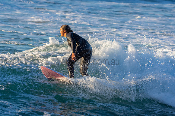 Whale Beach 2/7/20