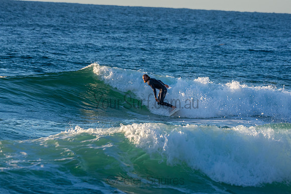 Whale Beach 2/7/20