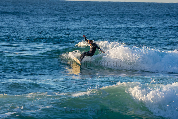 Whale Beach 2/7/20