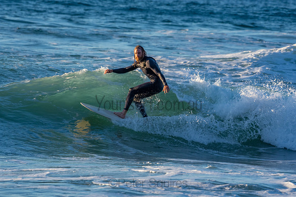 Whale Beach 2/7/20