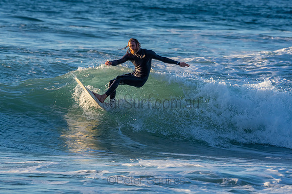 Whale Beach 2/7/20