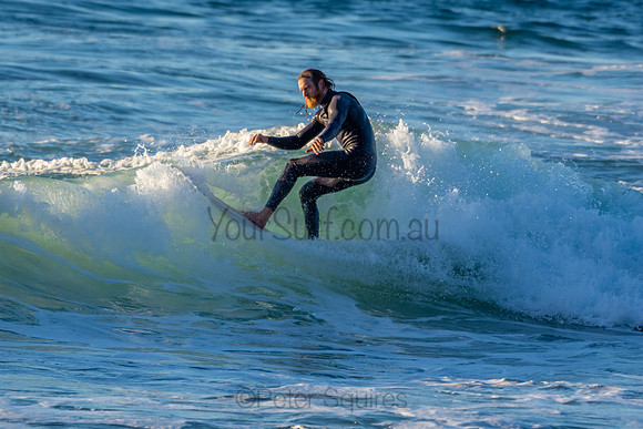 Whale Beach 2/7/20