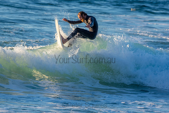 Whale Beach 2/7/20