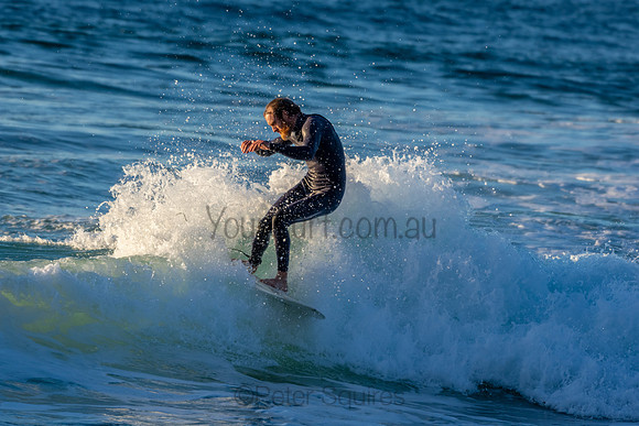 Whale Beach 2/7/20