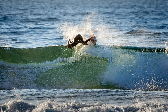 Whale Beach 2/7/20