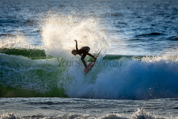 Whale Beach 2/7/20