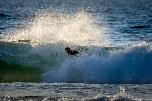 Whale Beach 2/7/20