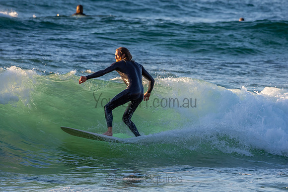 Whale Beach 2/7/20