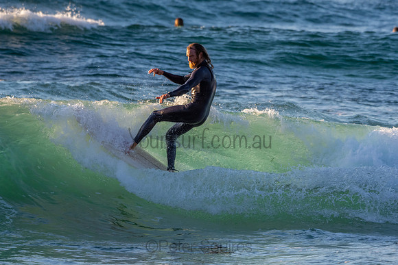 Whale Beach 2/7/20