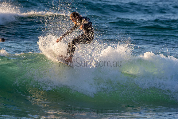 Whale Beach 2/7/20