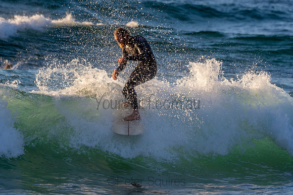 Whale Beach 2/7/20