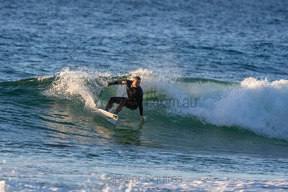 Whale Beach 2/7/20