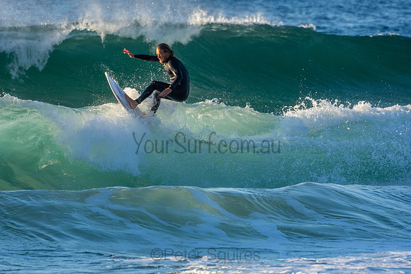 Whale Beach 2/7/20