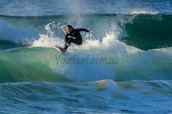 Whale Beach 2/7/20