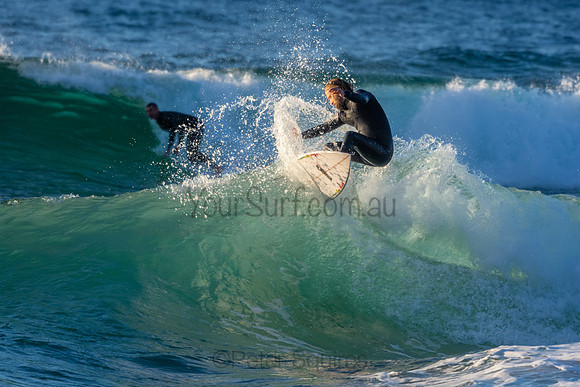 Whale Beach 2/7/20