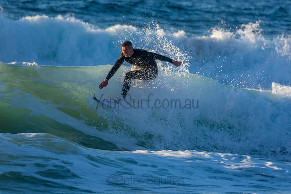 Whale Beach 2/7/20