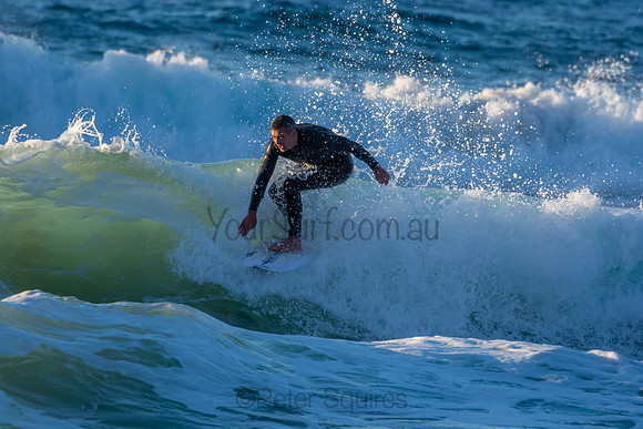 Whale Beach 2/7/20