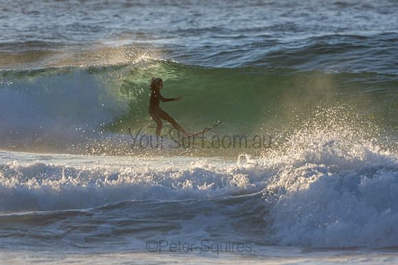 Whale Beach 2/7/20