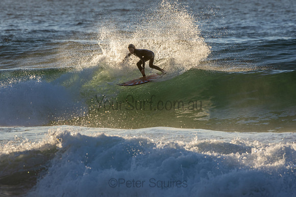 Whale Beach 2/7/20