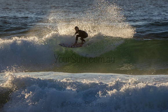 Whale Beach 2/7/20