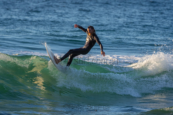 Whale Beach 2/7/20