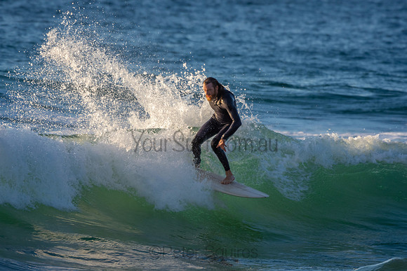 Whale Beach 2/7/20