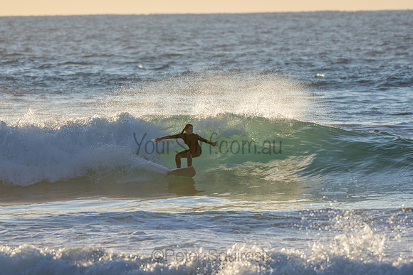 Whale Beach 2/7/20