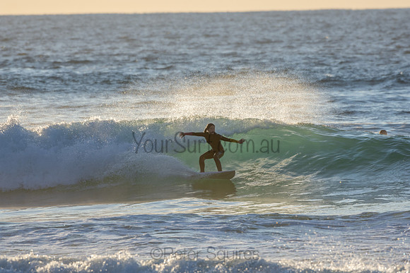 Whale Beach 2/7/20