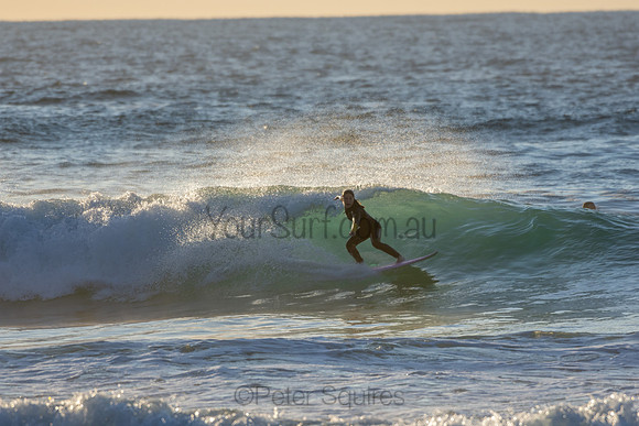 Whale Beach 2/7/20