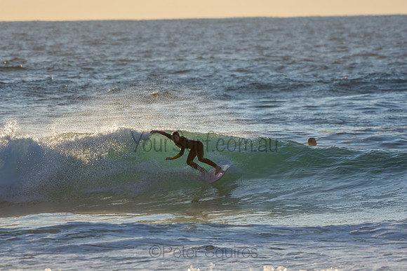 Whale Beach 2/7/20