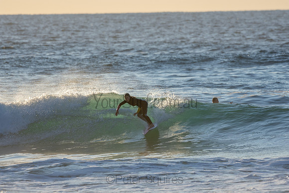 Whale Beach 2/7/20