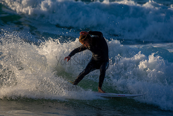 Whale Beach 2/7/20