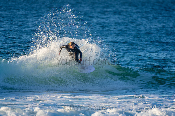 Whale Beach 2/7/20