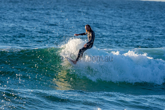 Whale Beach 2/7/20