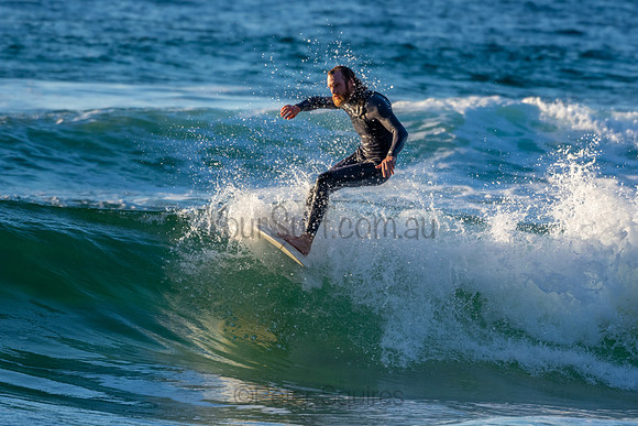 Whale Beach 2/7/20