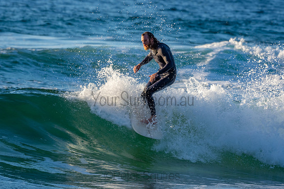 Whale Beach 2/7/20