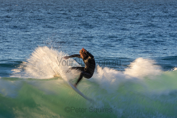 Whale Beach 2/7/20