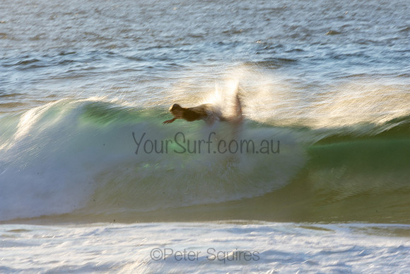 Whale Beach 2/7/20