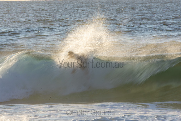 Whale Beach 2/7/20